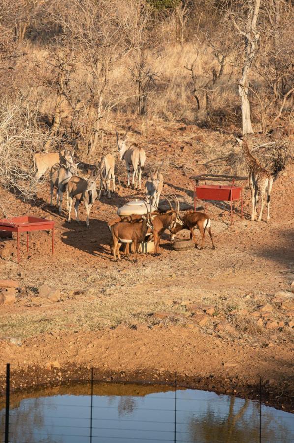 Tholo Manzi Private Game Farm Vila Zeerust Exterior foto