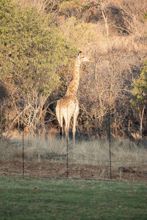 Tholo Manzi Private Game Farm Vila Zeerust Exterior foto