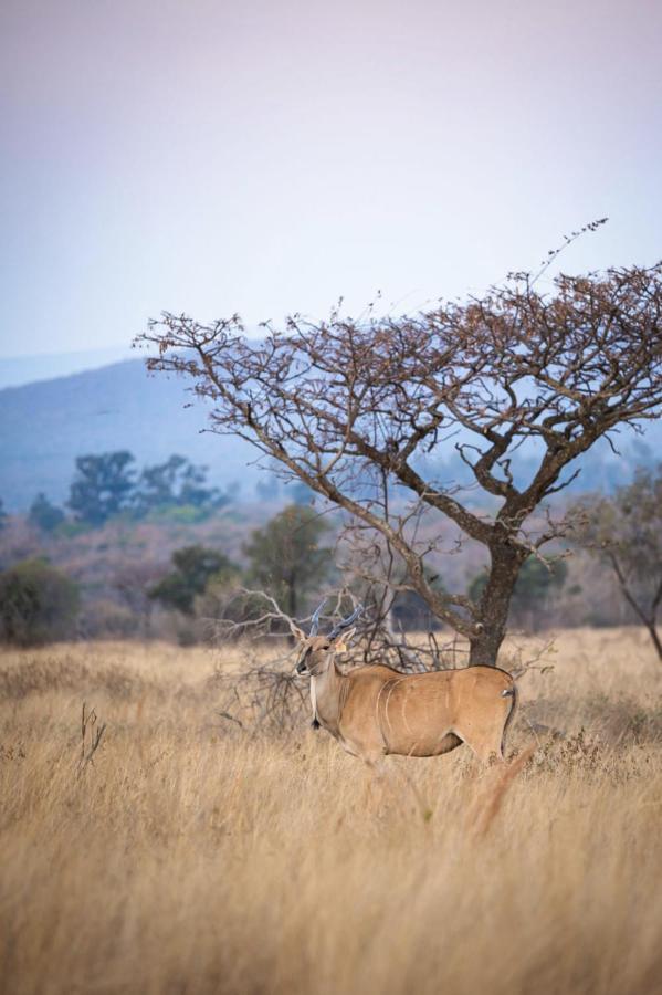 Tholo Manzi Private Game Farm Vila Zeerust Exterior foto